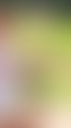 Wine Tours Made Perfect For Tasting, Learning & Exploring Australia’s Best Wine Regions