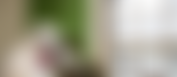 Tips to Remember During Asbestos Removal