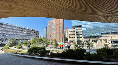 IMG_8607.JPG