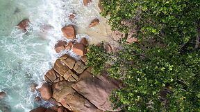 dji_fly_20240229_164936_137_1709218705797_photo.jpg