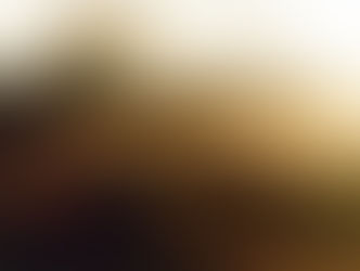 写真展【SUNNY】Gallery Niepce