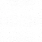 transparent.png