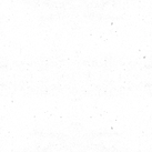 transparent.png