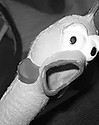 pollo.jpg