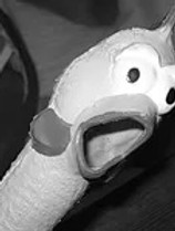 pollo.jpg