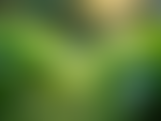 The Importance of Sustainable Living in Today's World