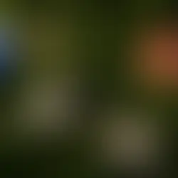 Astrología Diciembre 2023