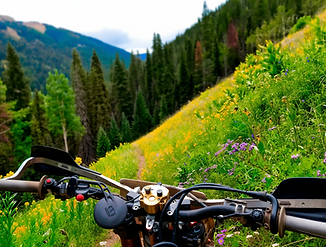 envato-labs-image-edit (1).png