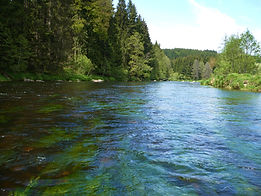 Brenloch Wildwassertour / BohemiaTours - Adventure