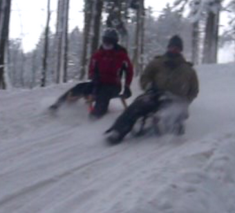 Rodeln Bayerischer Wald, Rodeln Bayern, Rodeln Bayerisch Eisenstein, Rodeln Bodenmais, Rodeln Großer Arber, Snowtubing Bayerischer Wald