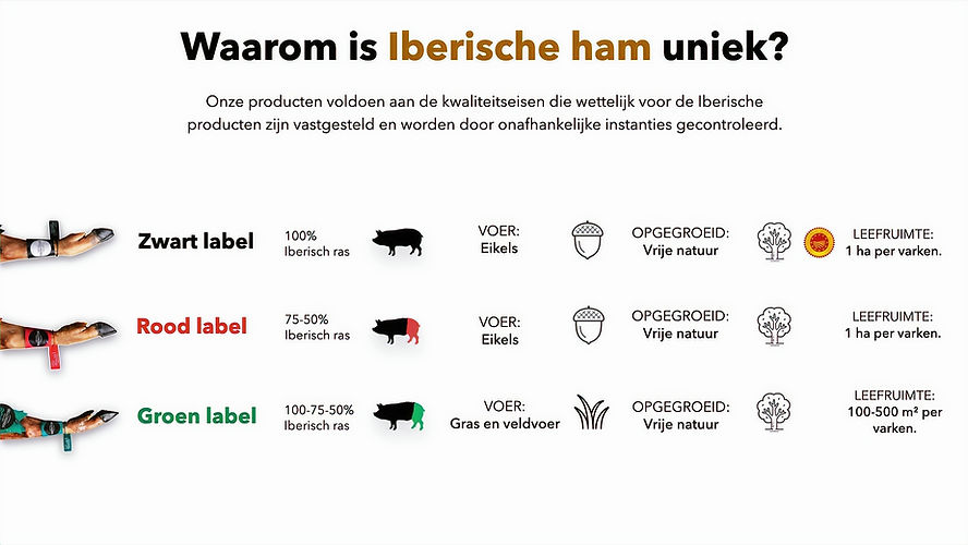 Catalogus corporate - Belloiberico _edit