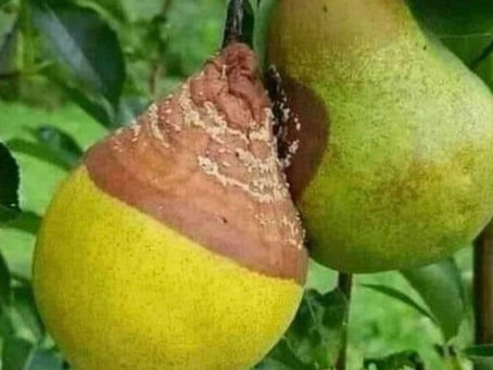 Dime Con Quien Andas, Y Te Dire Quien Eres!