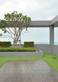 Green Rooftop