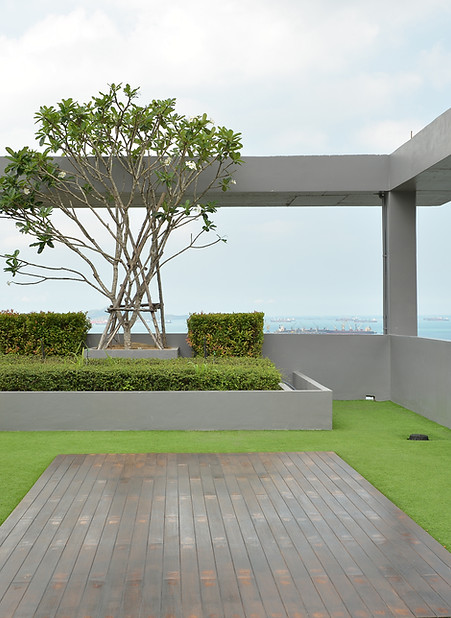 Green Rooftop