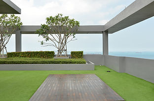Azotea verde