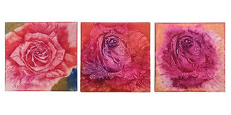 小春の薔薇絵展