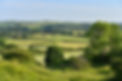 DSC_2034 Red Hill Nat Res (25).JPG