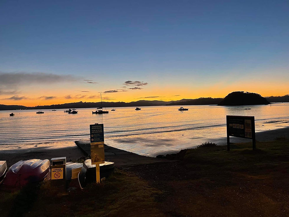 A beautiful autumn morning in the Bay.  Photo captured by Eva Rudolph