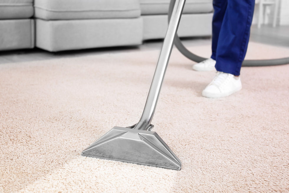 Professional deep cleaning of a carpet ensures a spotless living room