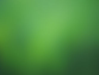 Steps to a Healthy Lawn: Your Ultimate Guide
