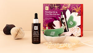 Holiday 2023 Lifestyle 1 850x490.jpg