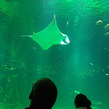 20211205_143306.jpg