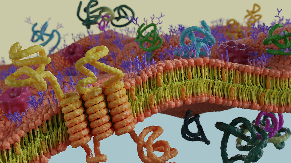 moacir-henrique-renderfinal0001.jpeg