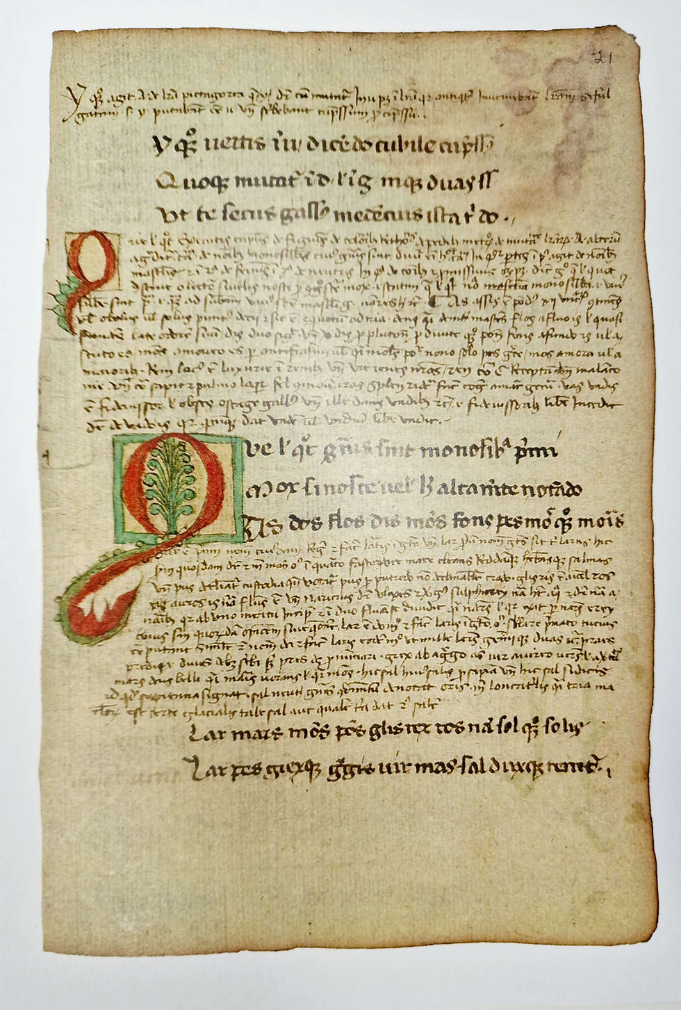 Thumbnail: Digital Download Medieval Manuscript and Coat of arms drawings