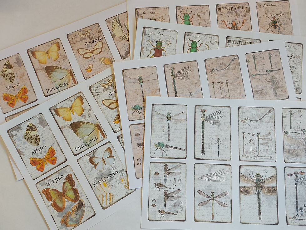 Thumbnail: Vintage style Nature cards and tags. Digital download