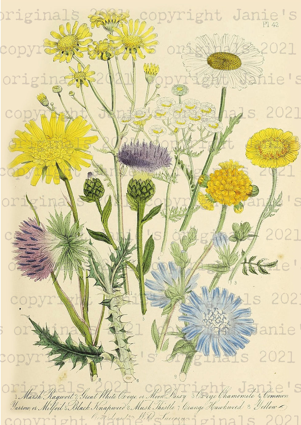 Thumbnail: Digital download.  Butterflies and Blooms