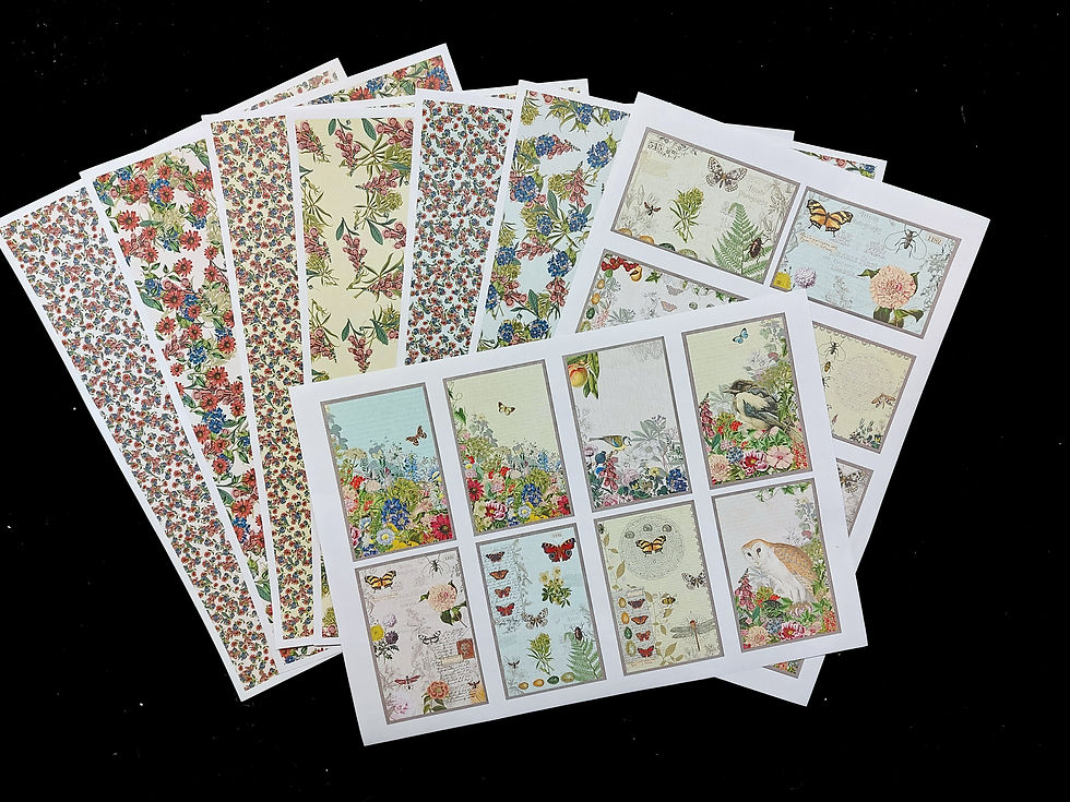 Thumbnail: Janie's Orignals Print Pack Anniversary Special