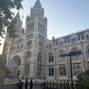 Yoga at the Natural history museum; menopause will take you everywhere.