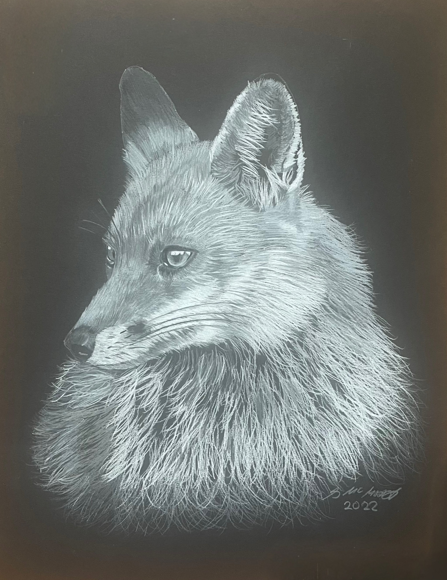 Fox (in B&W)