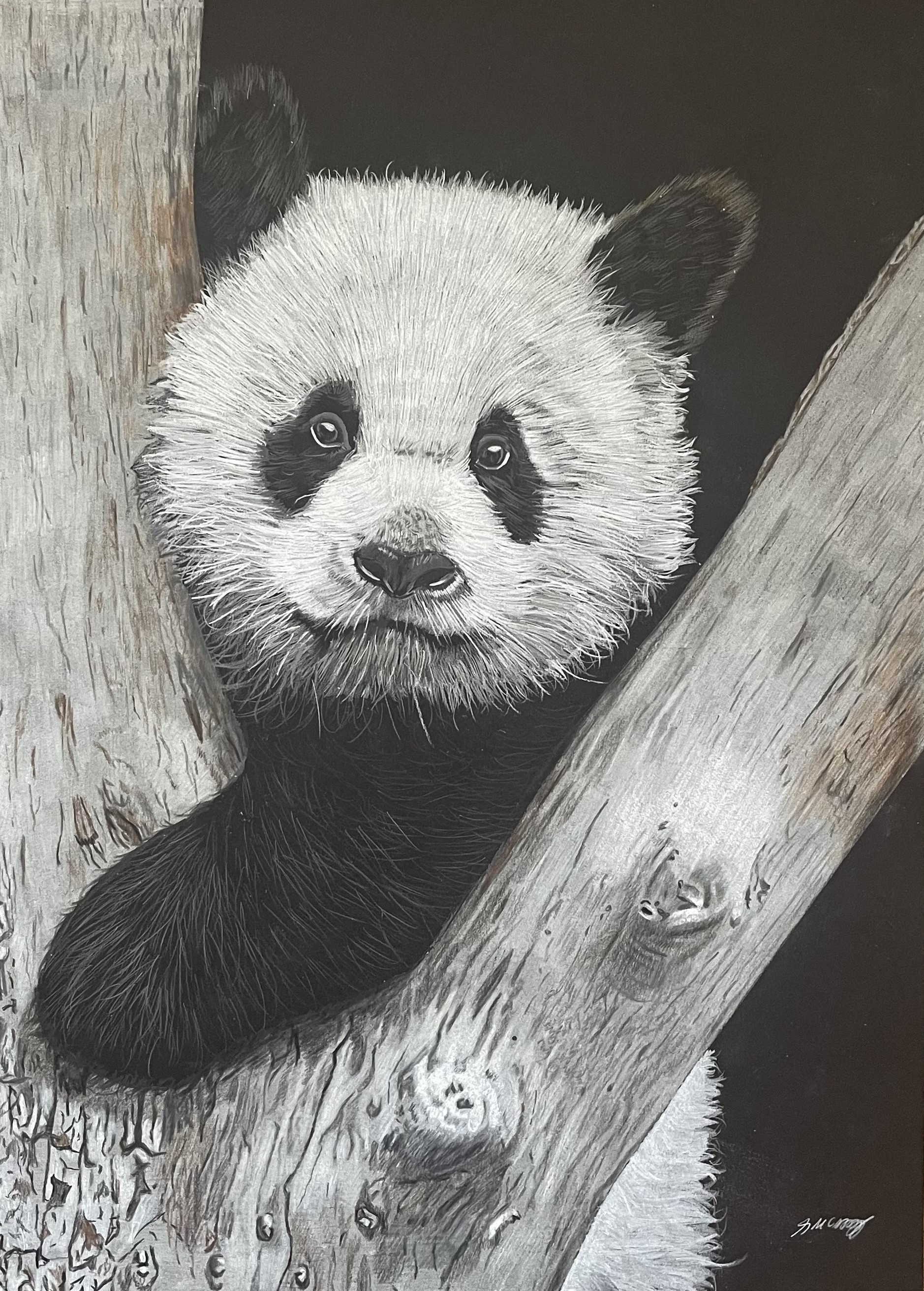 Giant Panda