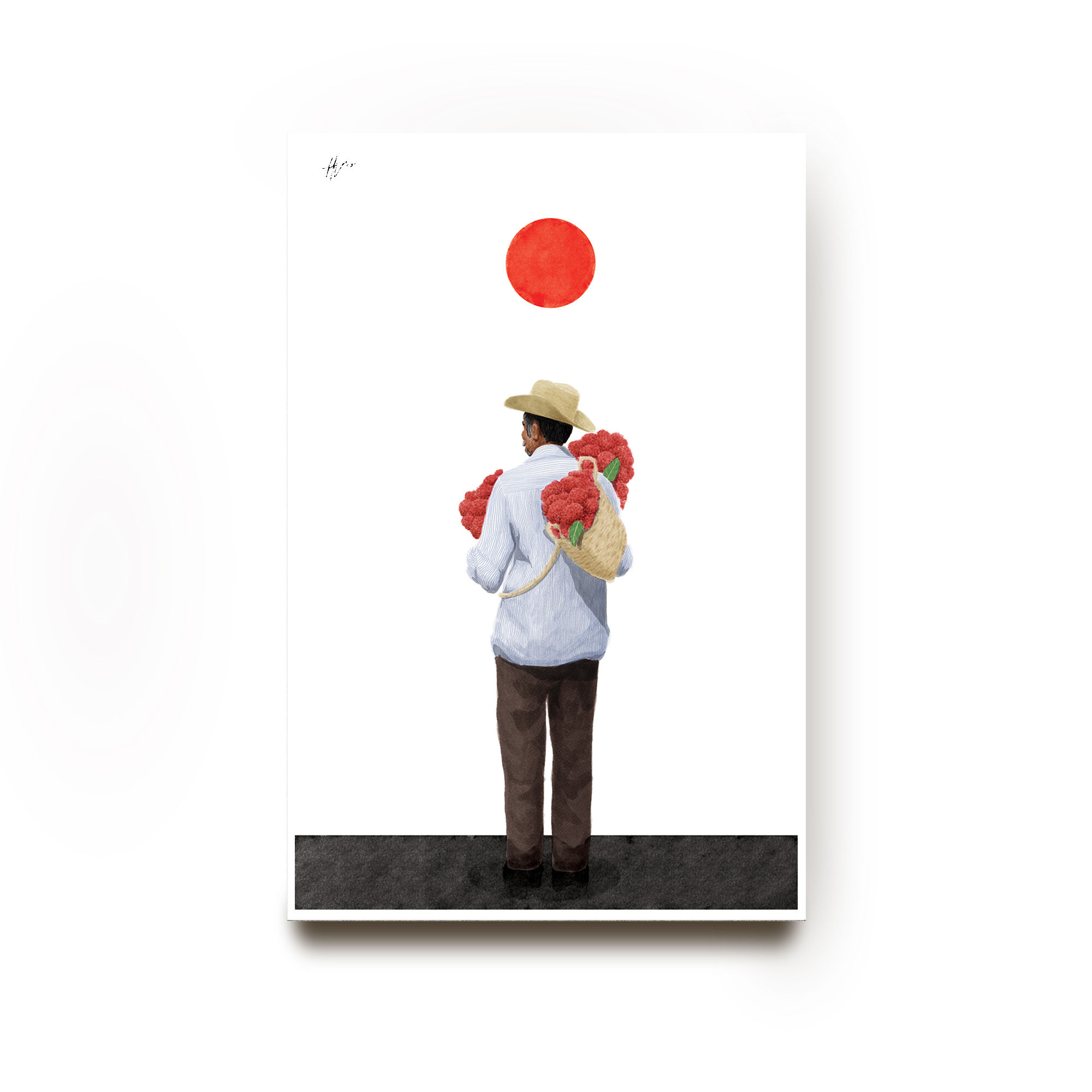 " Flor de Terciopelo "