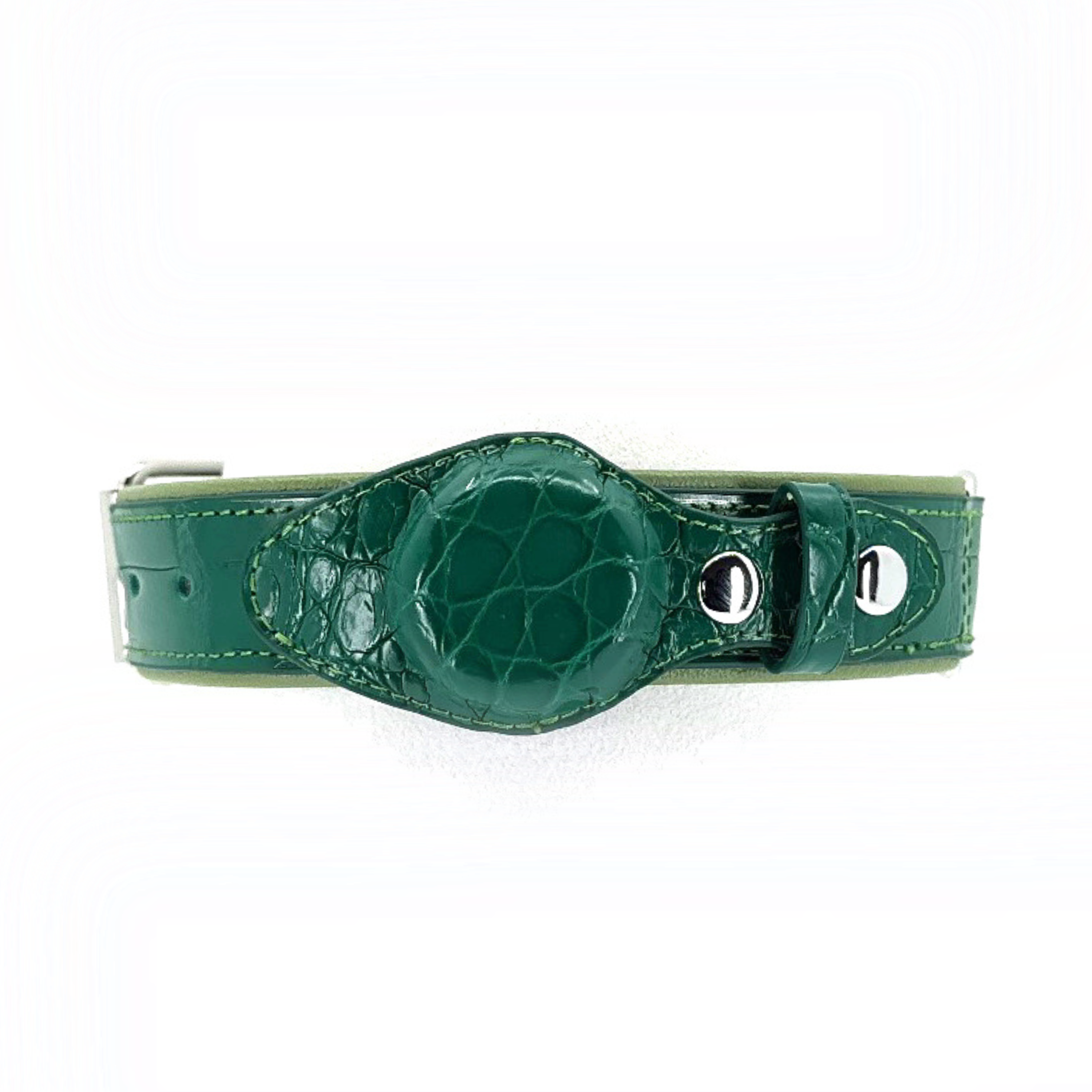 Green Crocodile Tracker