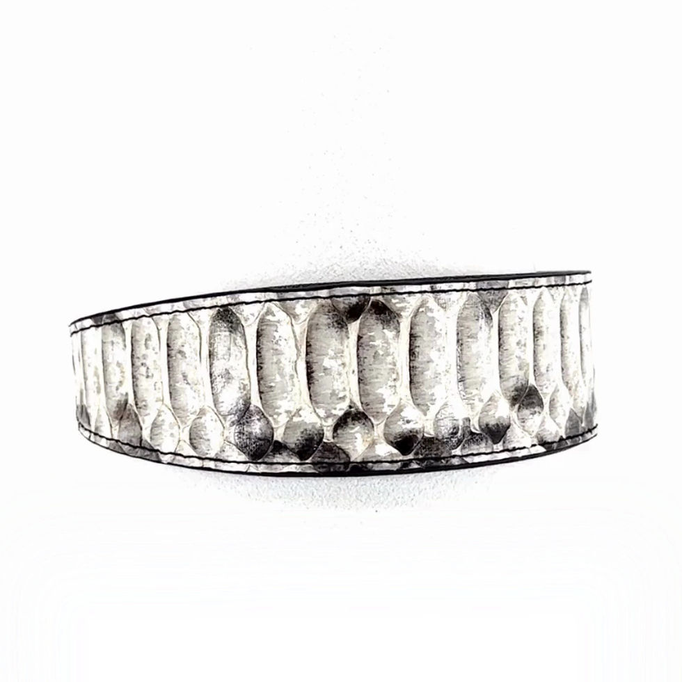 Thumbnail: Natural Snow Python Collar