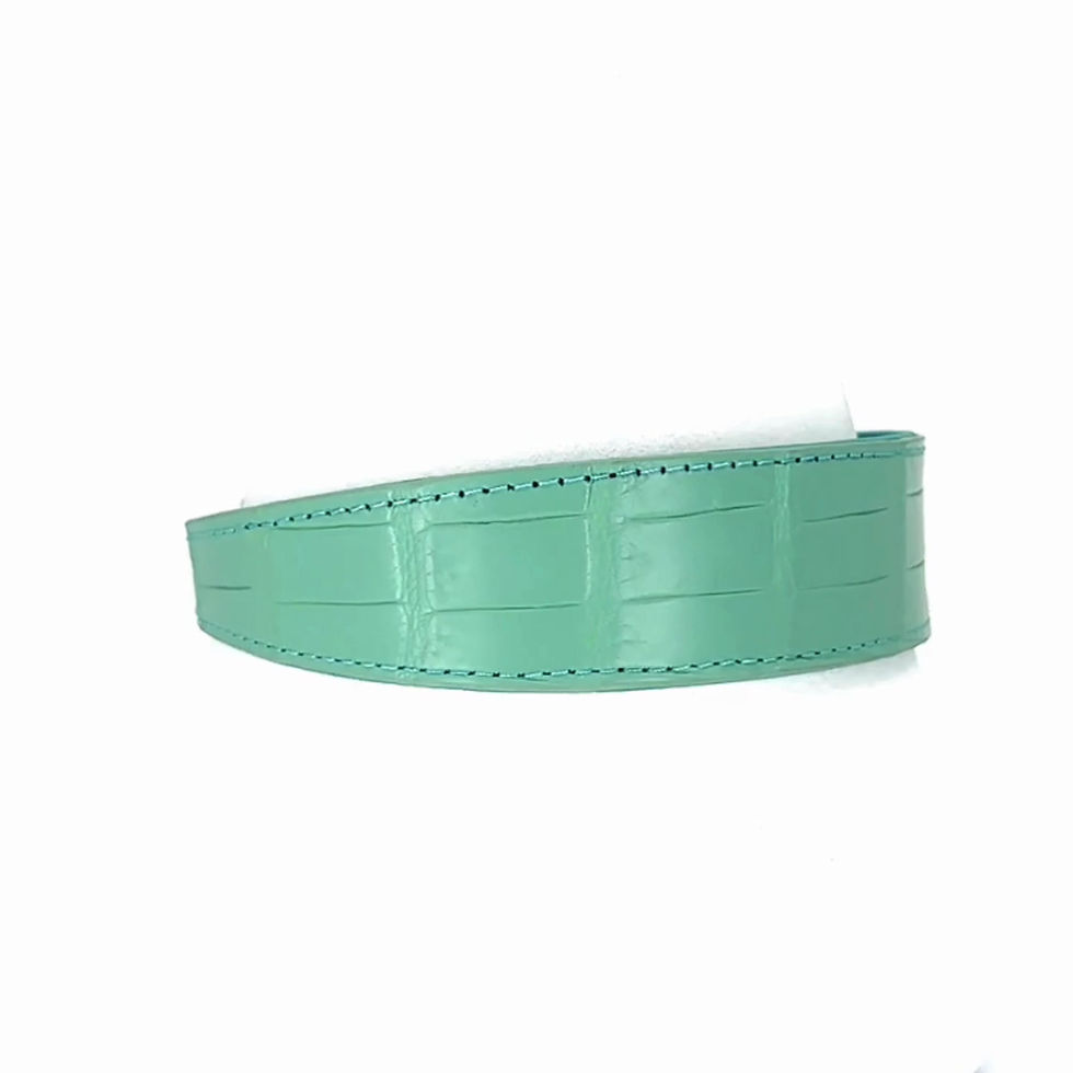 Thumbnail: Teal Blue Crocodile Collar