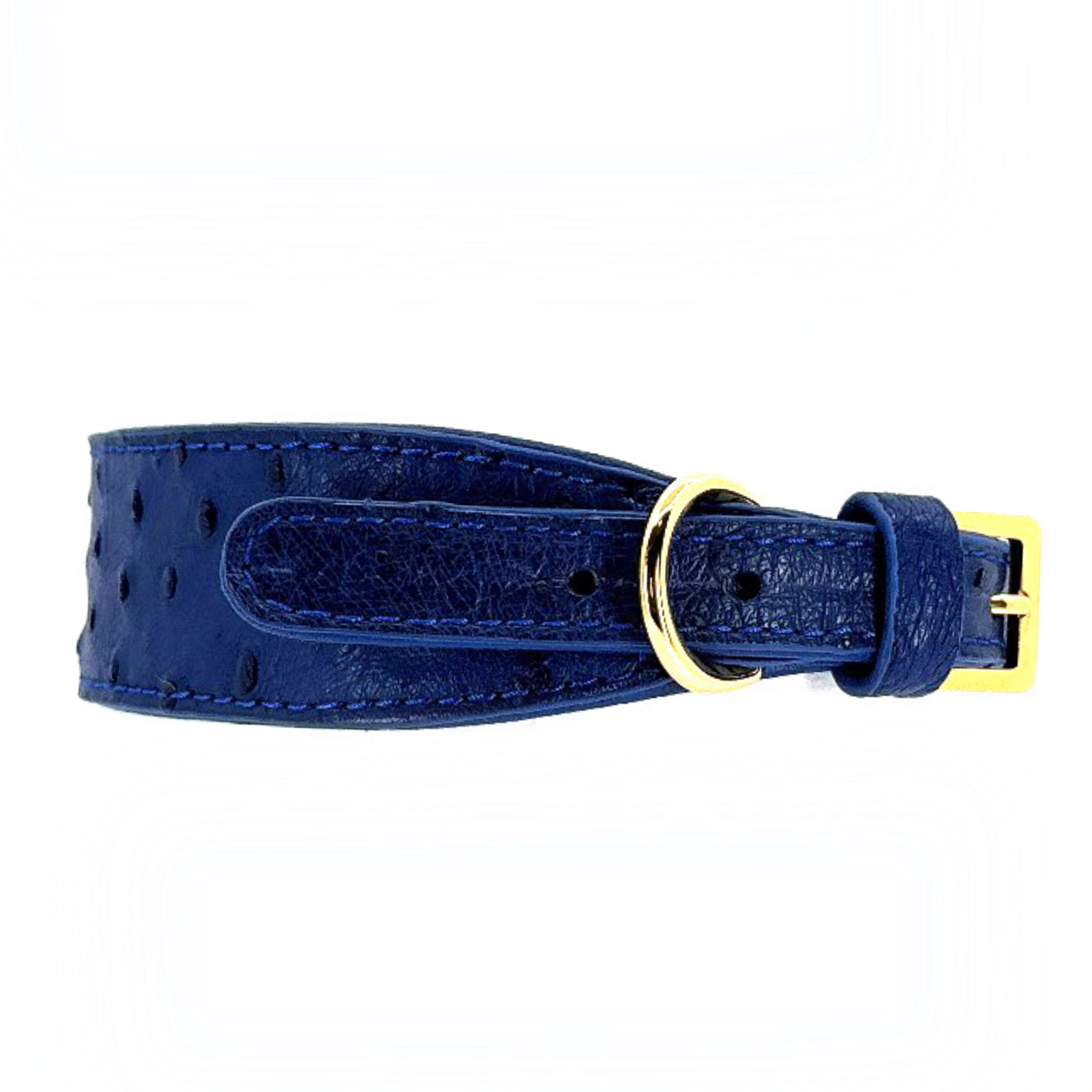 Blue Ostrich Collar