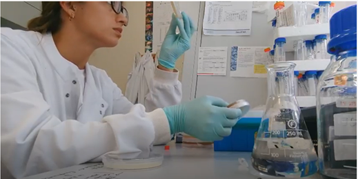 Ane analysing bacteria growing plates