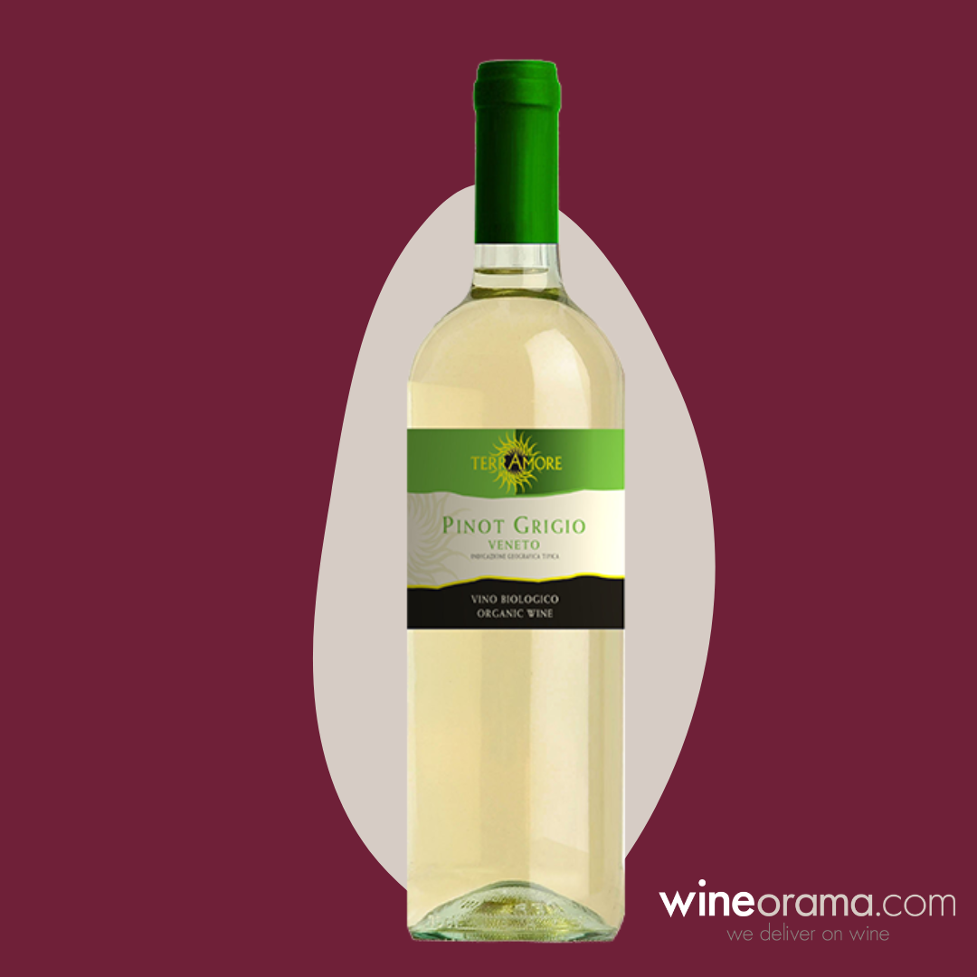 Terramore Organic Pinot Grigio, Veneto, Italy