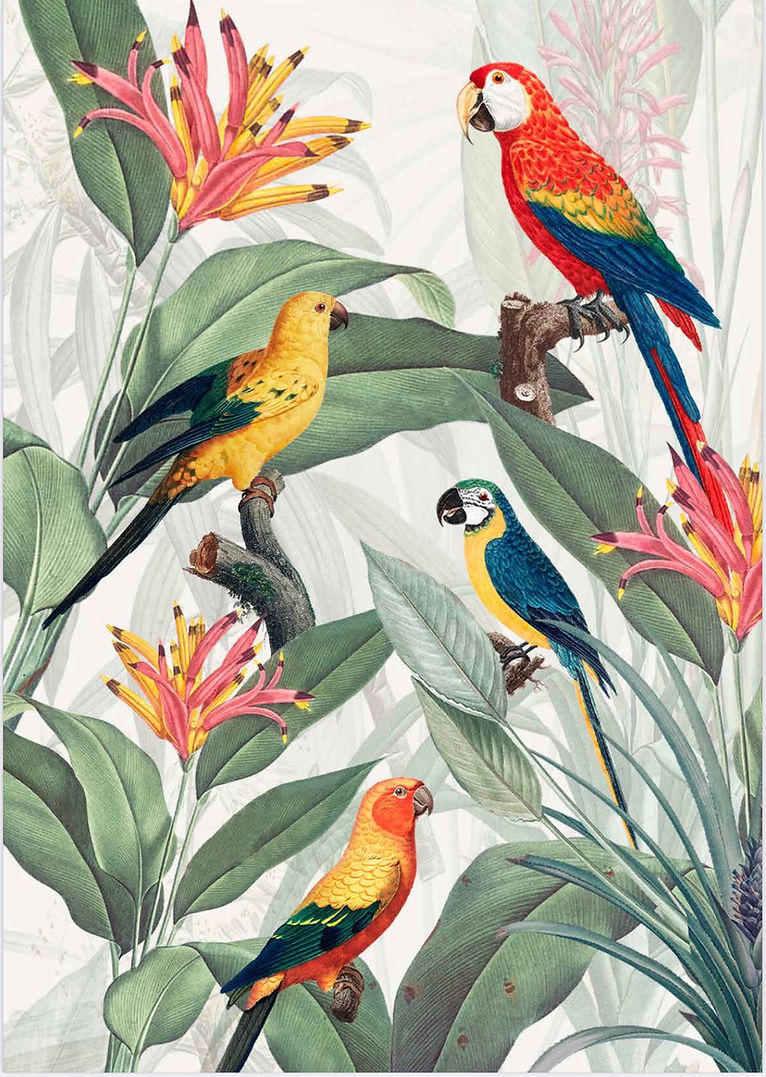 parrots .jpg