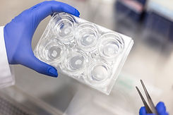 20230818_Neonatal Brain Therapeutics Sofia Dahlgren _1309.jpg