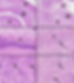 CurcPath.tif
