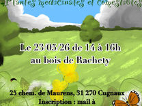 Sortie botanique "Plantes médicinales et comestibles" à Cugnaux