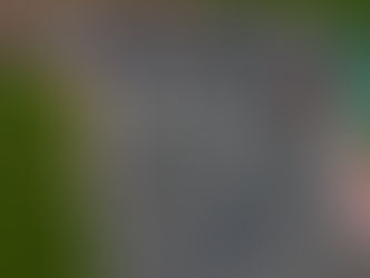 Douglas Motorsport Close On British F3 Points Lead With Brands Hatch Podiums