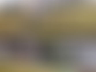 John Bennett Bags More GB3 Points In Snetterton Battles