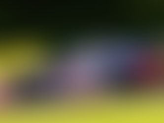 Fin Green Battles To Points Finish In Challenging Croft Weekend