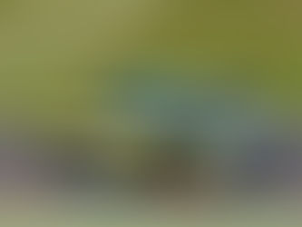 MAX HALL SCORES ROOKIE CUP VICTORY ON MINI CHALLENGE TROPHY DEBUT