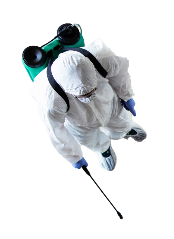 Foto del escritor: Iangreen